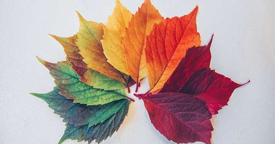 An Introduction To MongoDB Replication