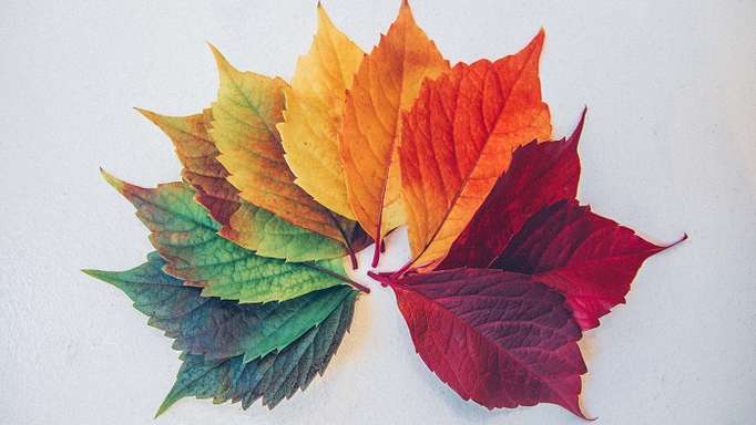 An Introduction To MongoDB Replication