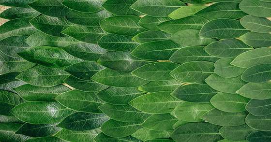 The Concept of Materialized Views in MongoDB Sharded Clusters