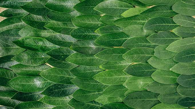 The Concept of Materialized Views in MongoDB Sharded Clusters