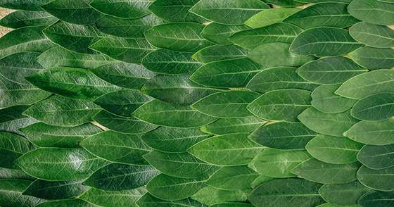 The Concept of Materialized Views in MongoDB Sharded Clusters