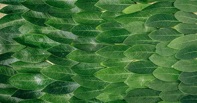 The Concept of Materialized Views in MongoDB Sharded Clusters