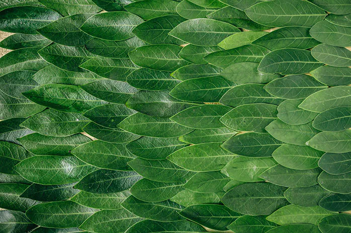 MongoDB materialized views