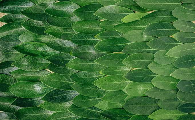 The Concept of Materialized Views in MongoDB Sharded Clusters