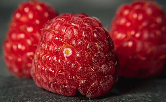 How to Build a Percona Server "Stack" on a Raspberry Pi 3+