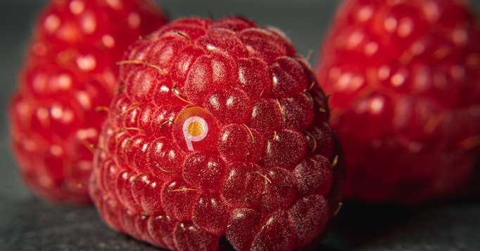 How to Build a Percona Server "Stack" on a Raspberry Pi 3+
