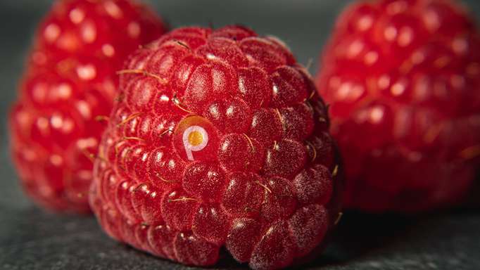 How to Build a Percona Server "Stack" on a Raspberry Pi 3+