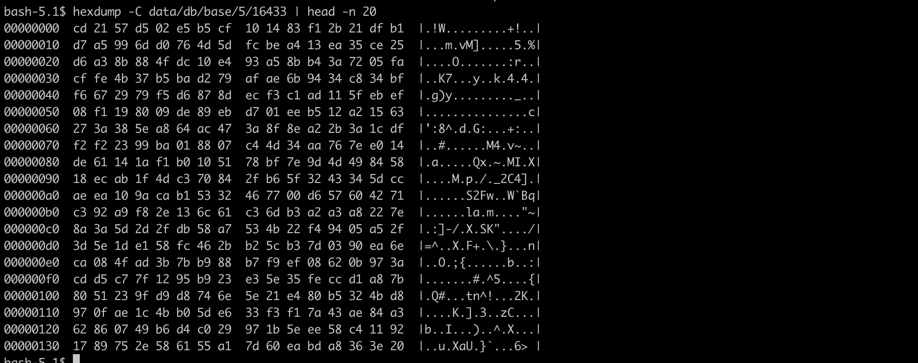 PG_TDE - Docker - the contents are fully encrypted