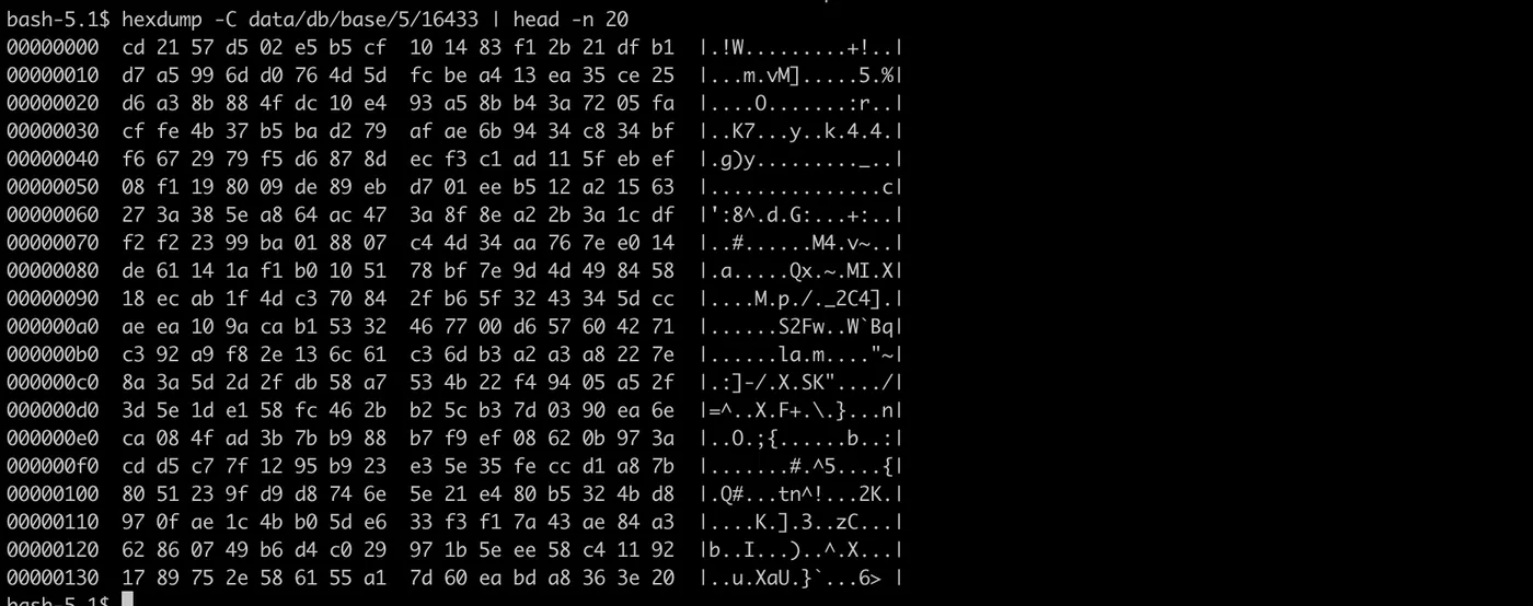 PG_TDE - Docker - the contents are fully encrypted