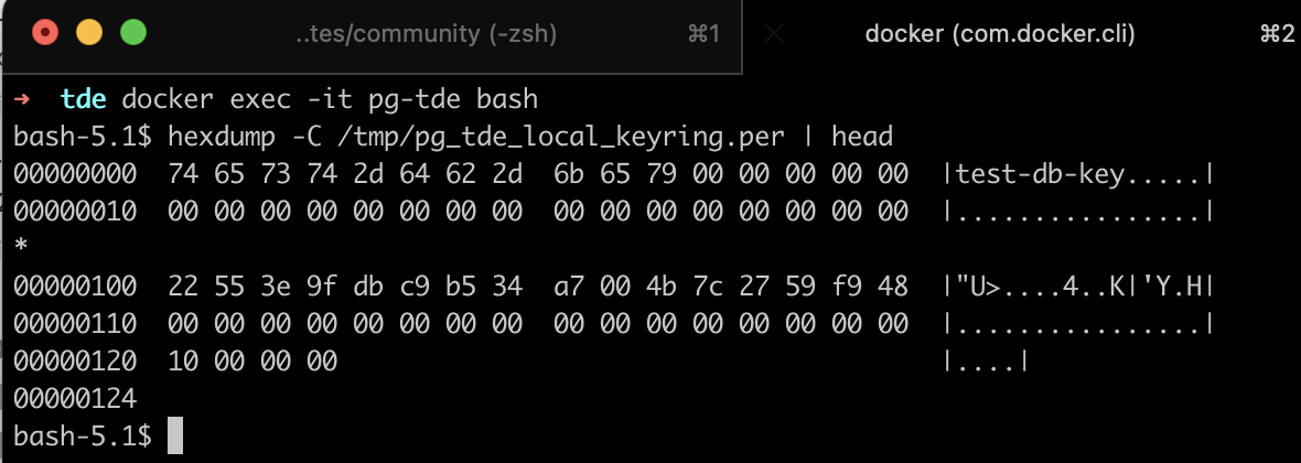 PG_TDE - Docker - Key file