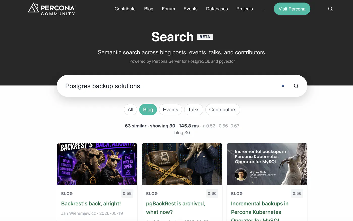 Smart Semantic Search using PostgreSQL and pgvector - Search Page