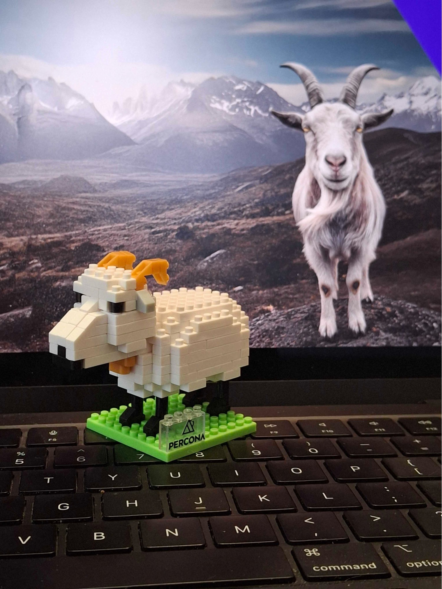 LEGO mountain goat with Percona branding on a laptop