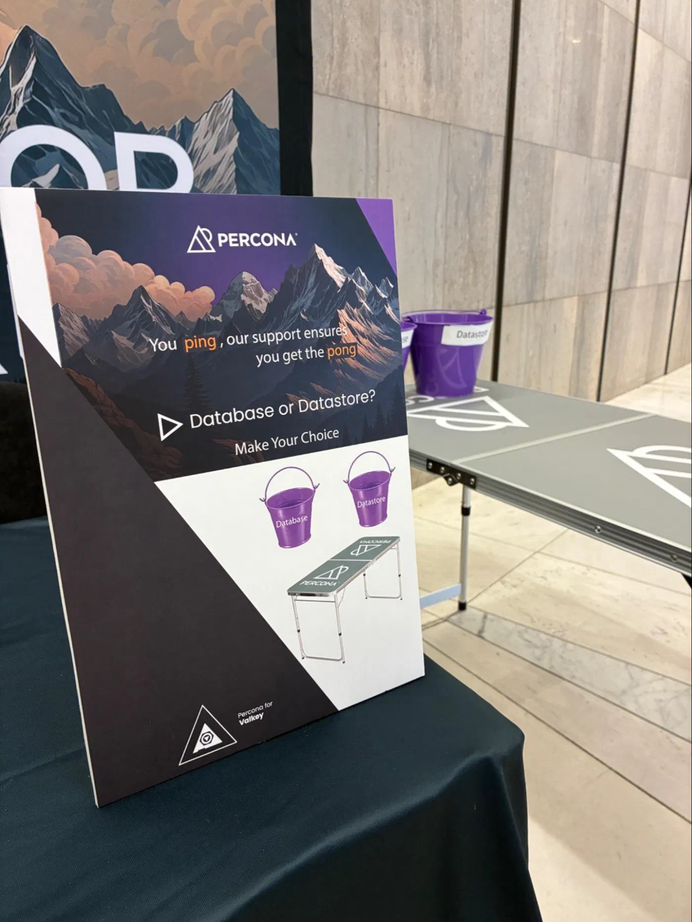 Valkey Pong booth sign: Database or Datastore